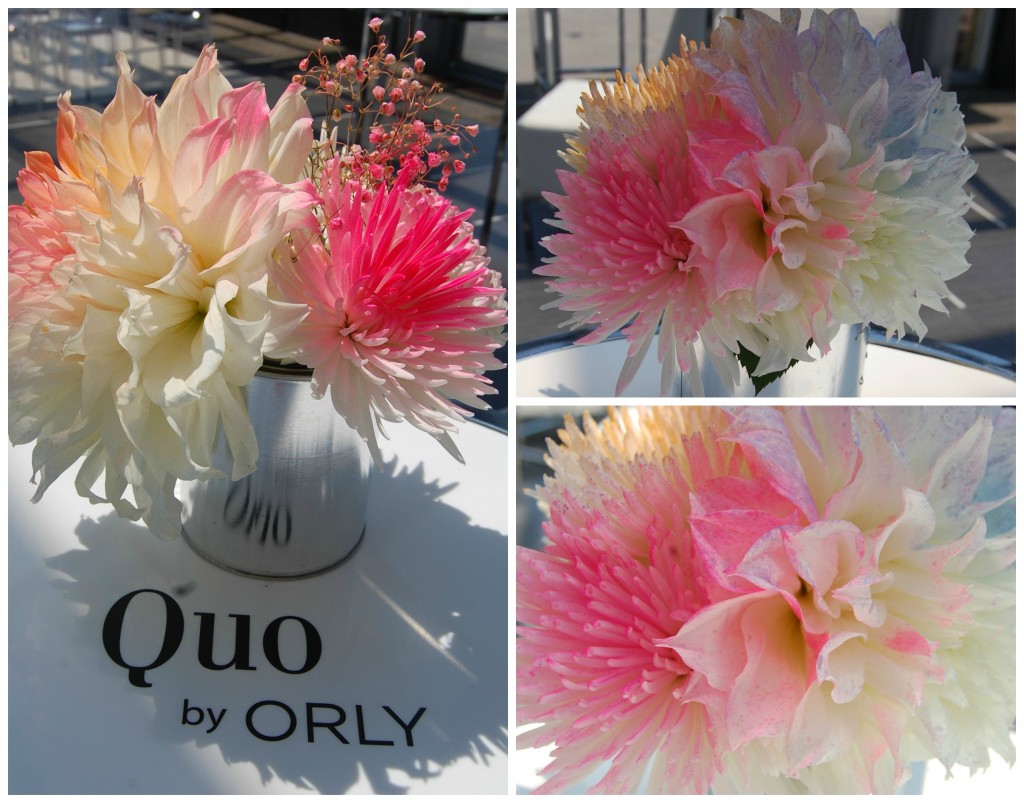Quo by Orly (12)