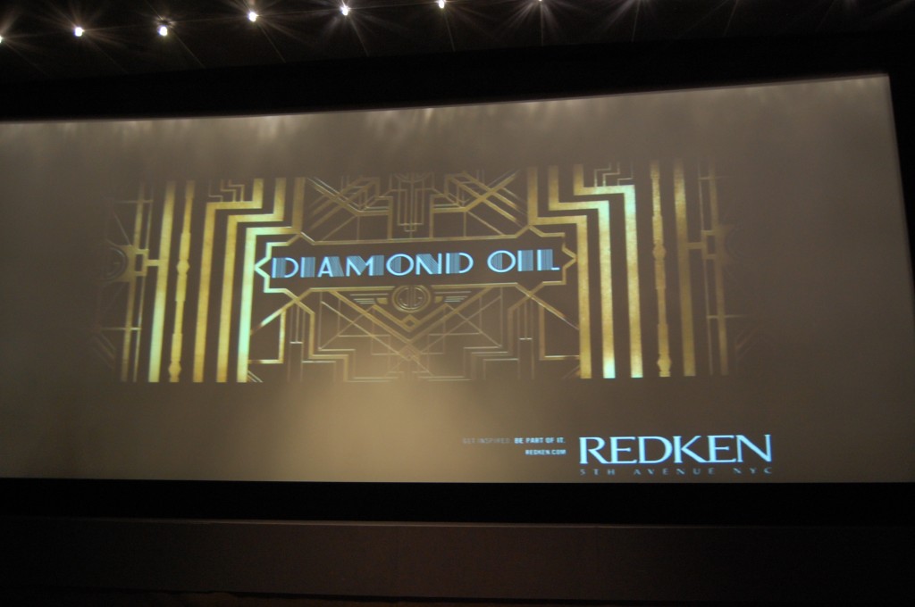 Redken Diamond Oil  (13)