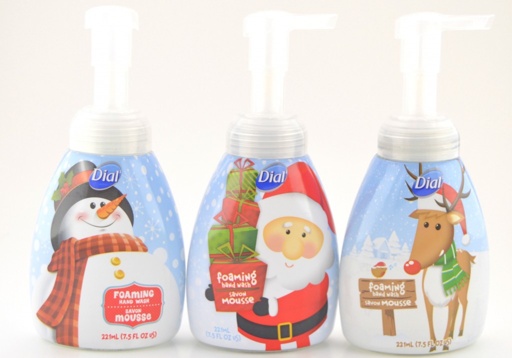 Dial Festive Foaming Hand Wash