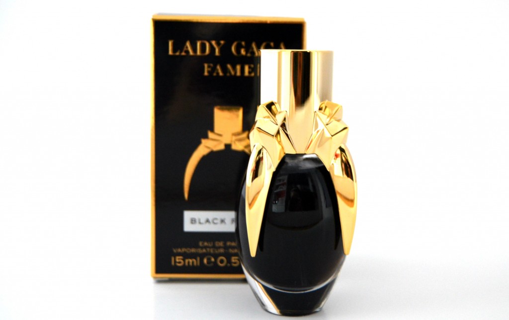 Lady Gaga Fame (1)