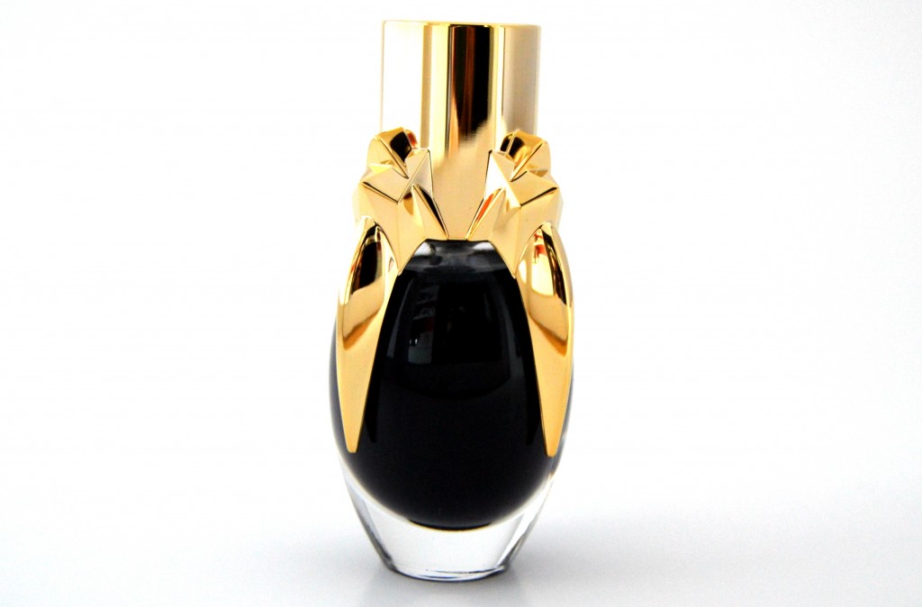 Lady Gaga Fame (2)