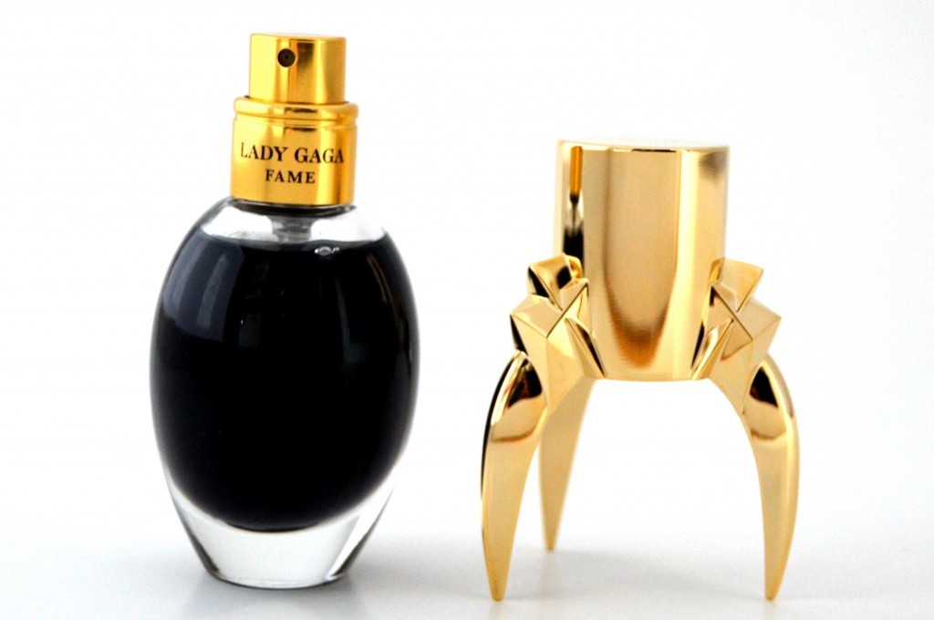 Lady Gaga Fame (3)