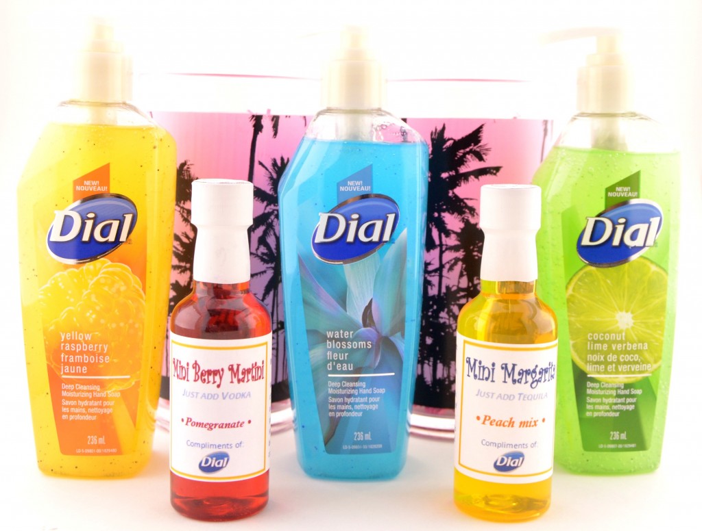 Dial Deep Cleansing Moisturizing Hand Soap (1)