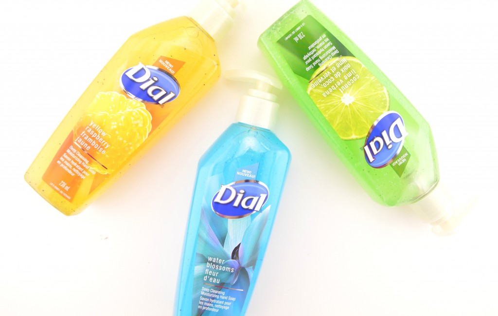 Dial Deep Cleansing Moisturizing Hand Soap (4)