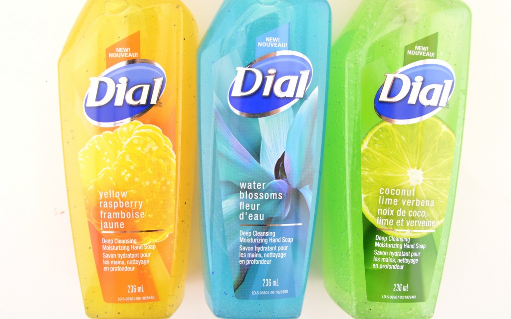 Dial Deep Cleansing Moisturizing Hand Soap (5)