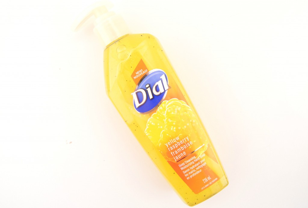 Dial Deep Cleansing Moisturizing Hand Soap (6)