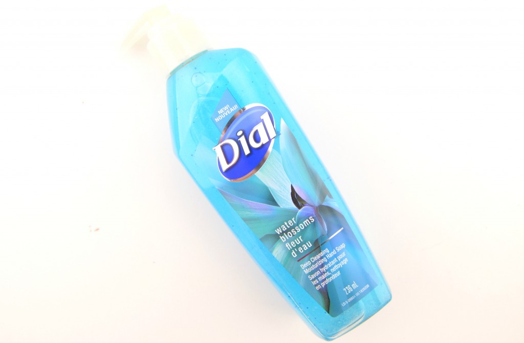 Dial Deep Cleansing Moisturizing Hand Soap (7)