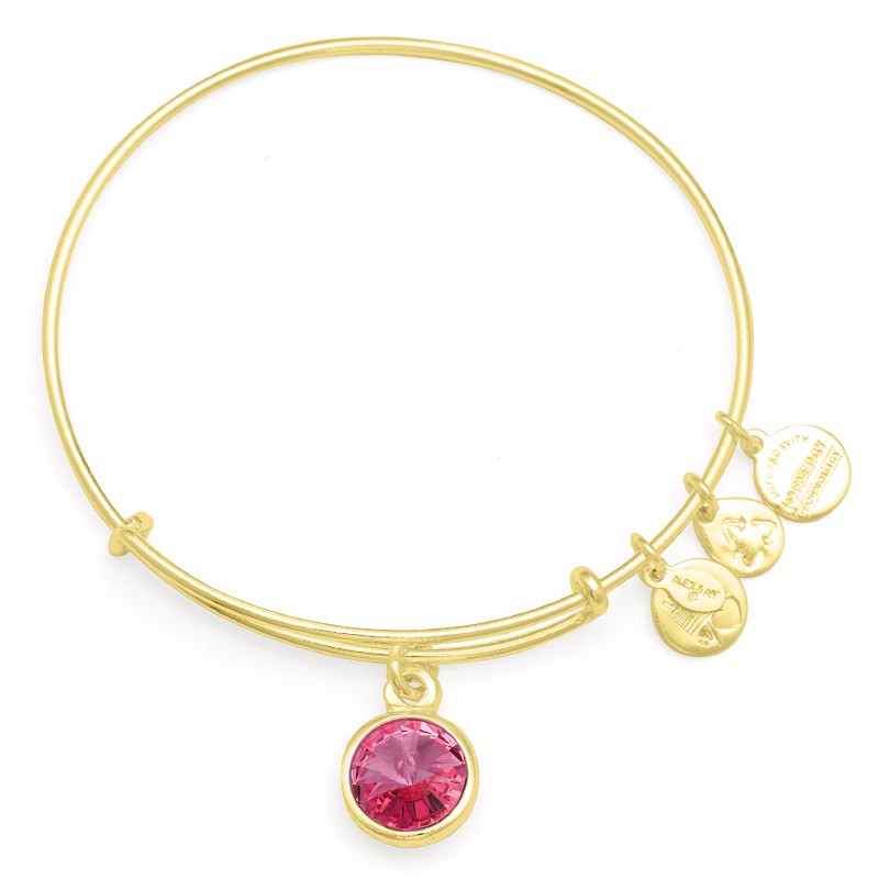 Alex and ani hot sale energy bracelet