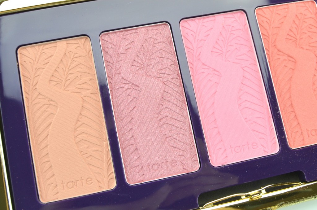 Tarte Pin Up Girl Amazonian Clay 12-Hour Blush Palette  (5)