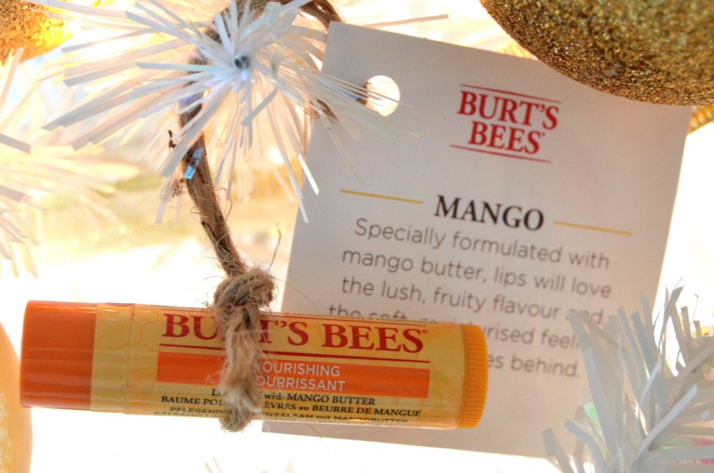 Burt’s Bees Mango Moisturizing Lip Balm