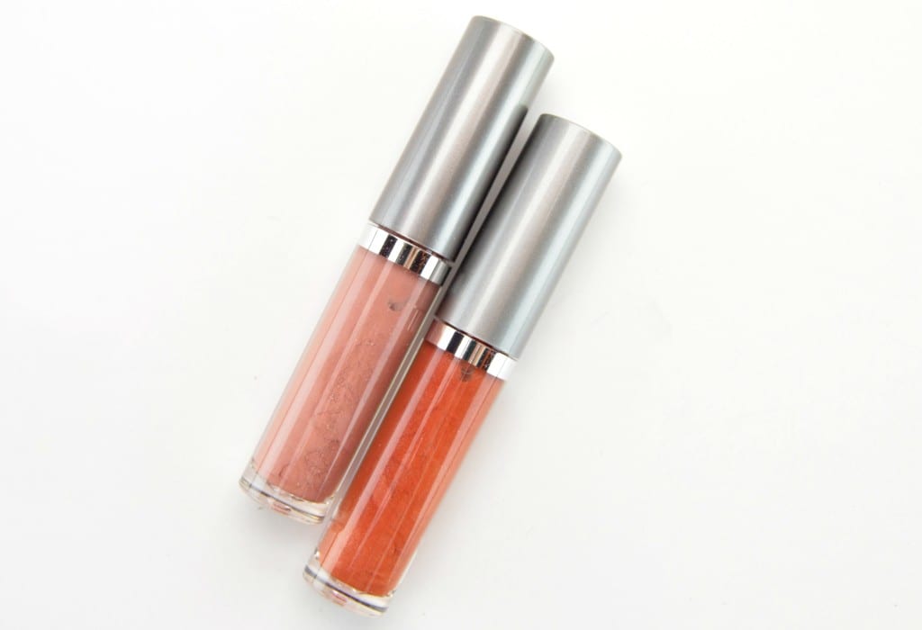 Colorescience Lip Polish 