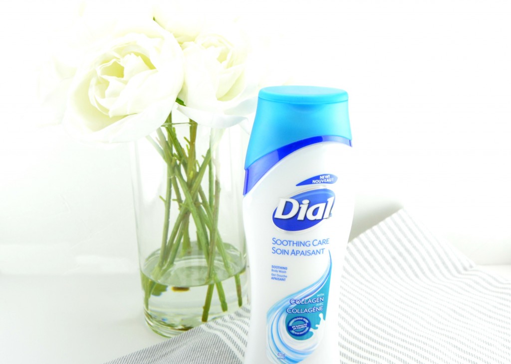 Dial Soothing Care Body Wash