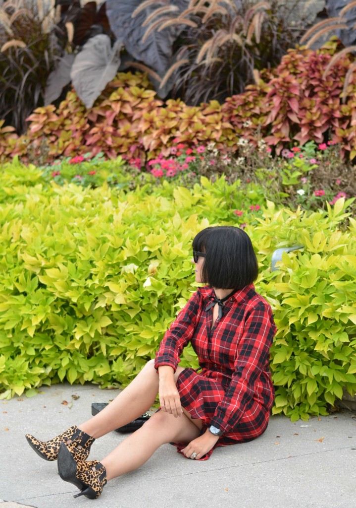 plaid dress