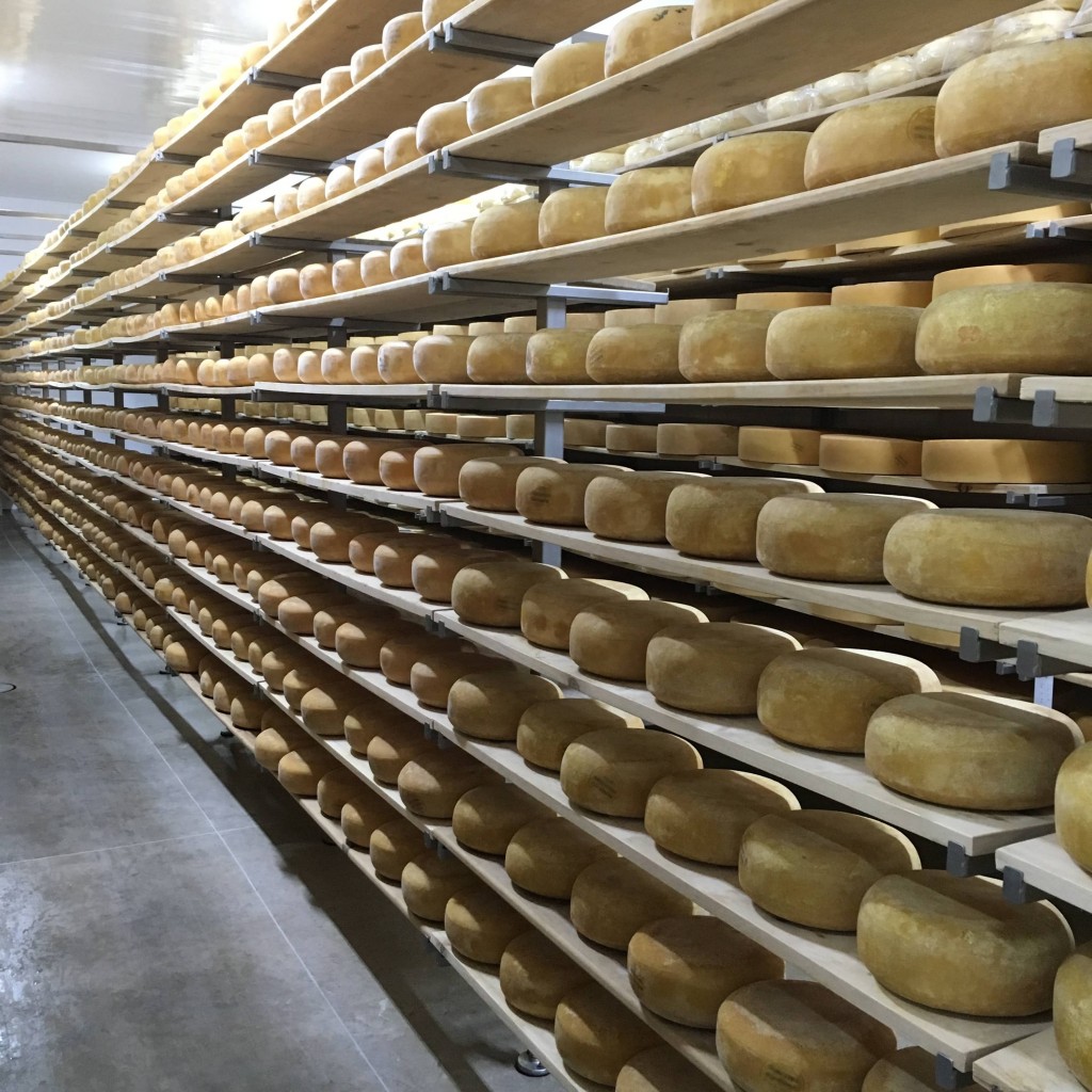 Gunn’s Hill Artisan Cheese