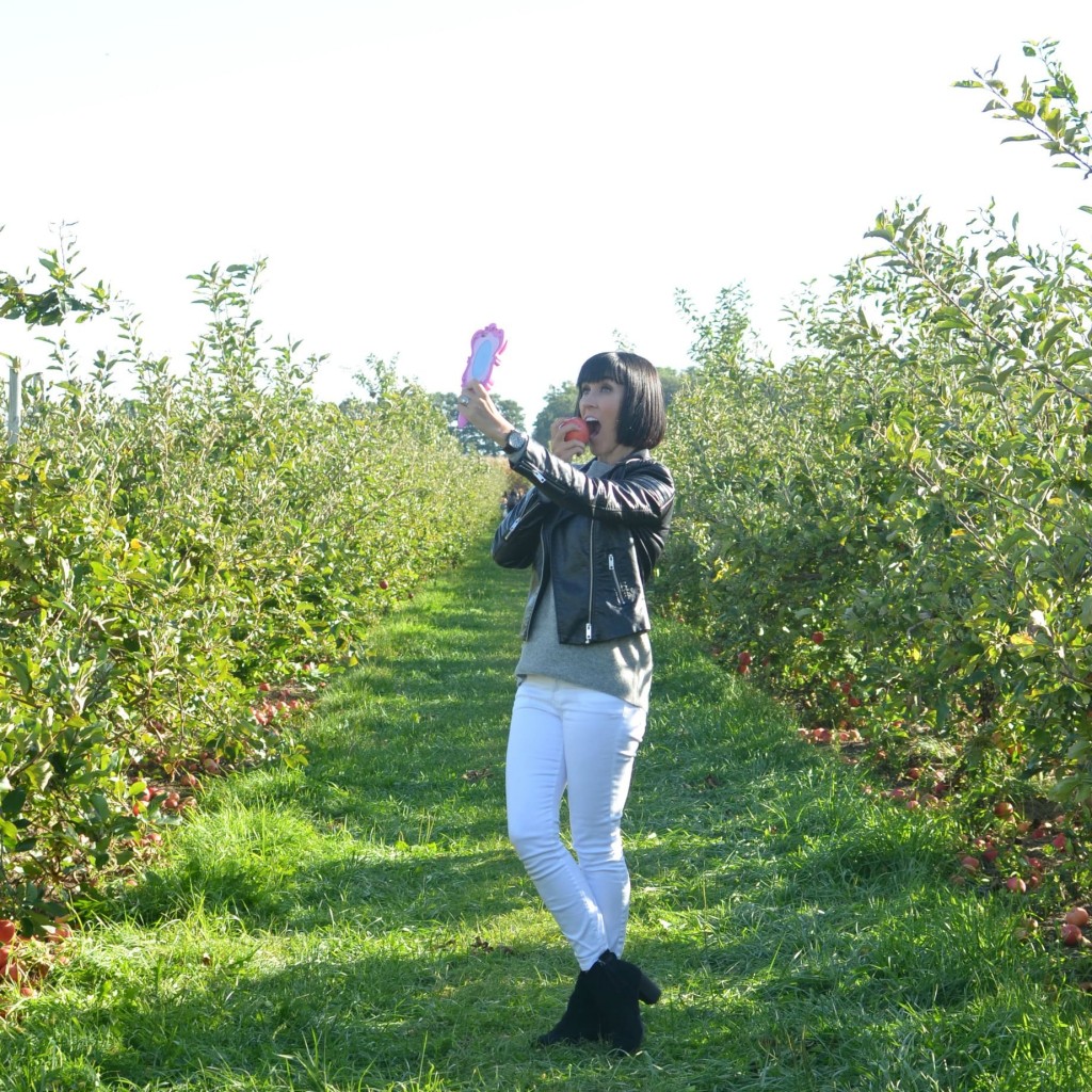 Thiessen Orchards