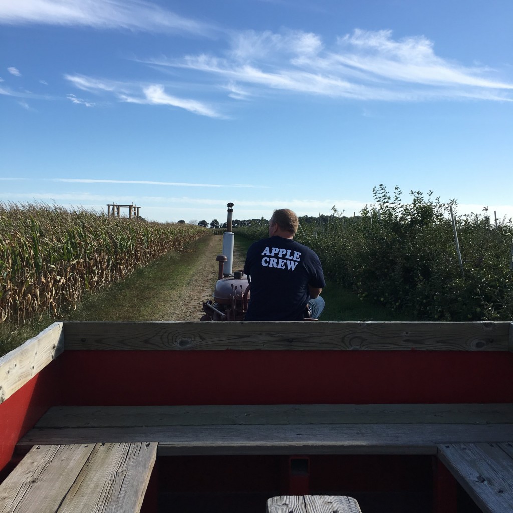 Thiessen Orchards