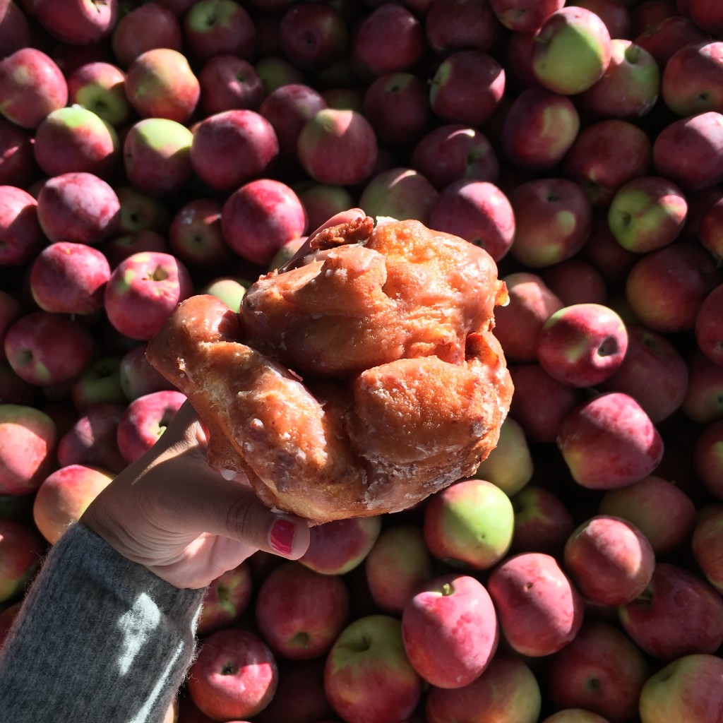 Thiessen Orchards