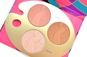 Tarte Holiday Tarteist Paint Palette Collectors Set