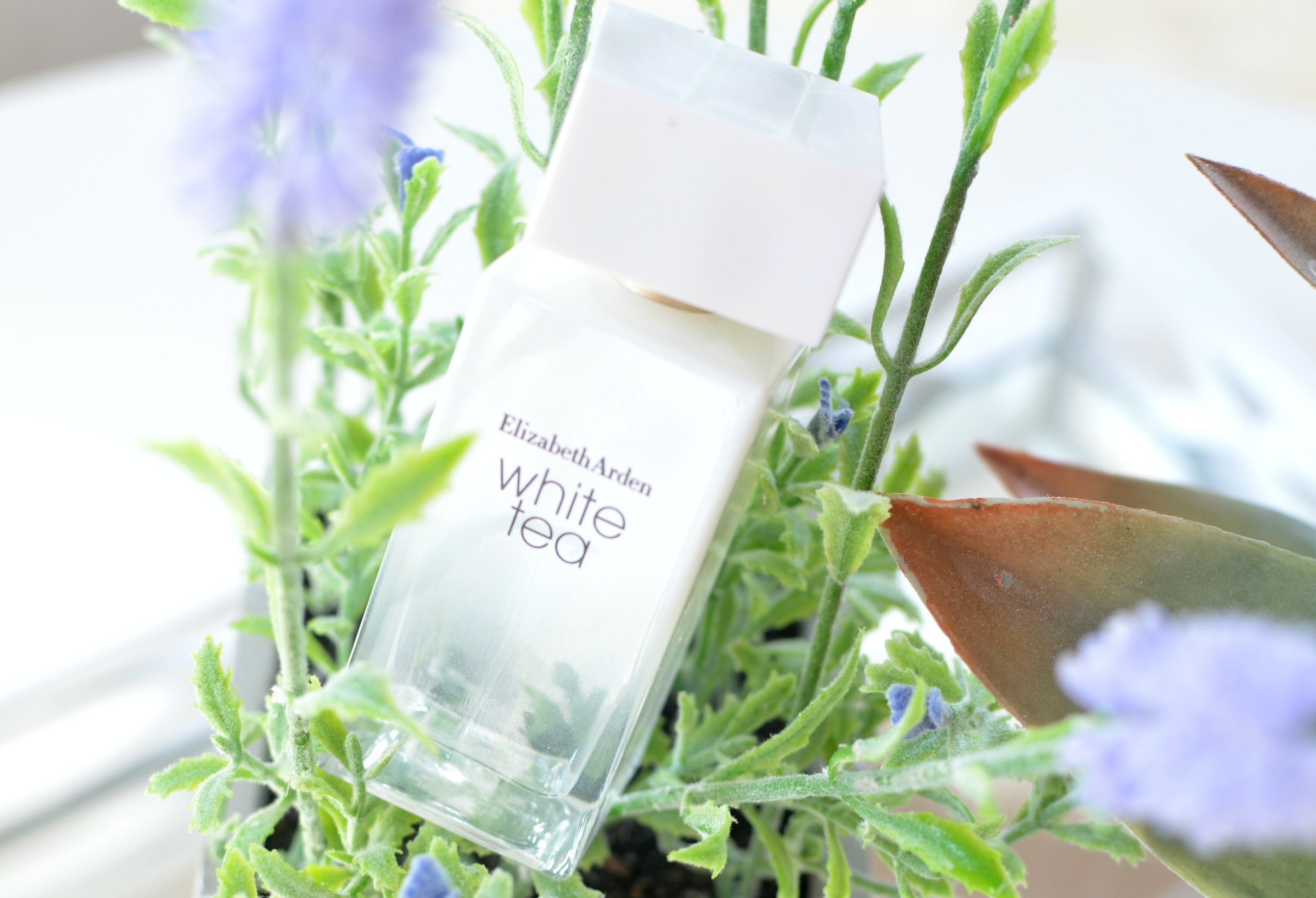 Elizabeth Arden White Tea (4) The Pink Millennial