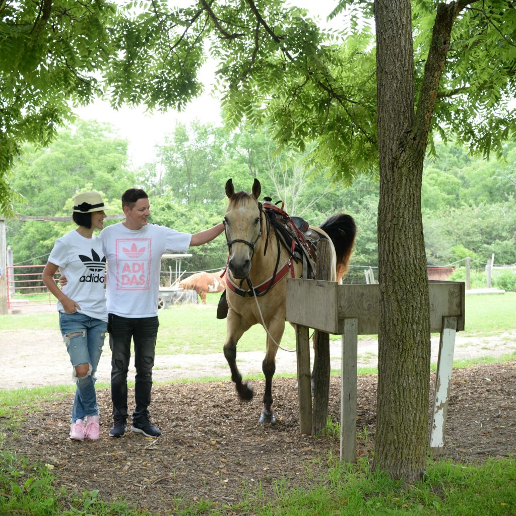 Texas Longhorn Ranch