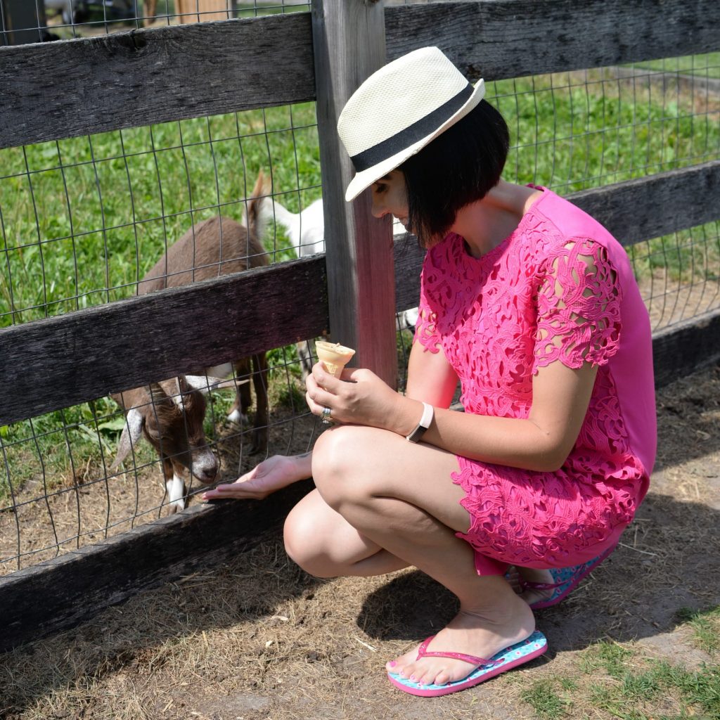 Kustermans Family Farm