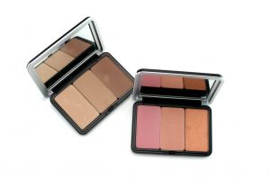 Make Up For Ever Artist Face Color