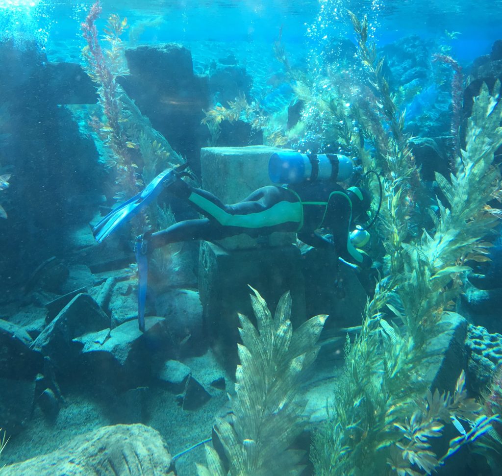 Finding Nemo Submarine Voyage