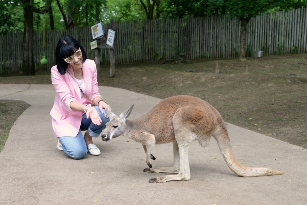 Nashville Zoo