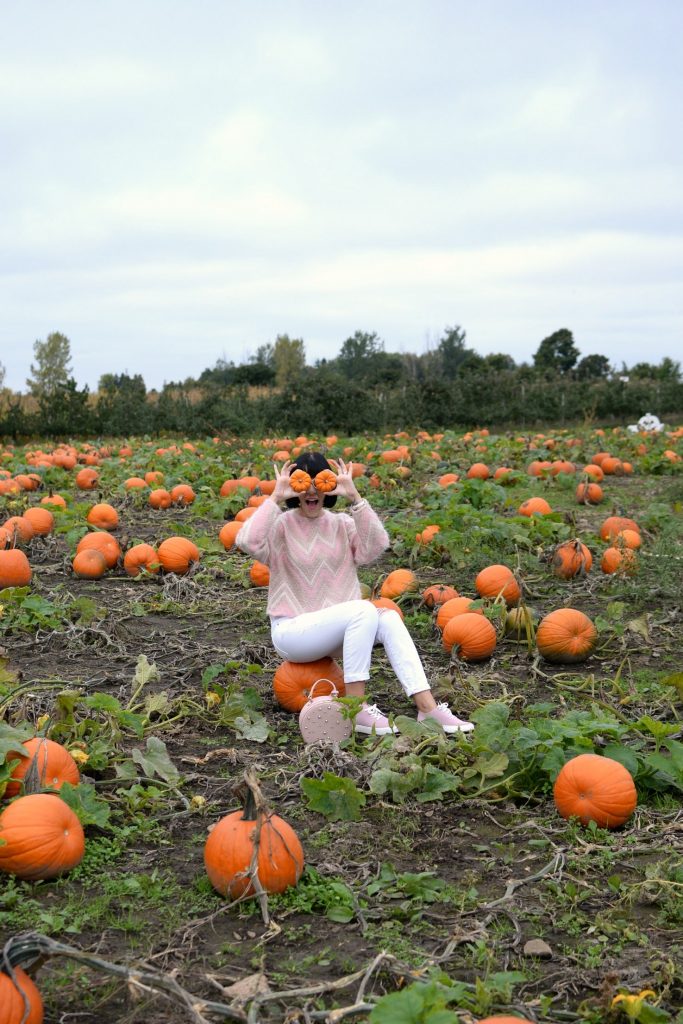 Attend Oktoberfest, haunted house, horror movie marathon, pumpkin patch, halloween party