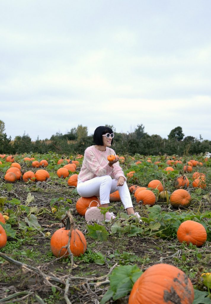 Attend Oktoberfest, haunted house, horror movie marathon, pumpkin patch, halloween party