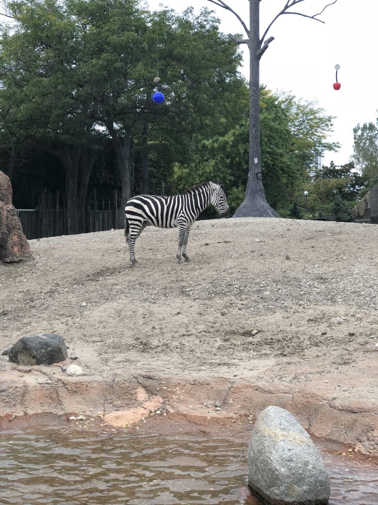 Chicago Zoo