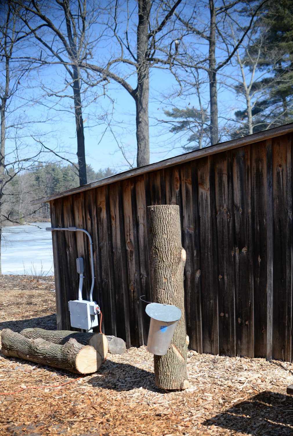 Springwater’s Maple Syrup Festival