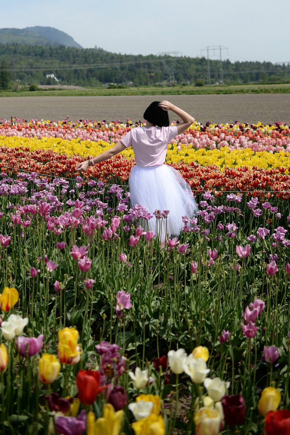 Abbotsford Tulip Festival