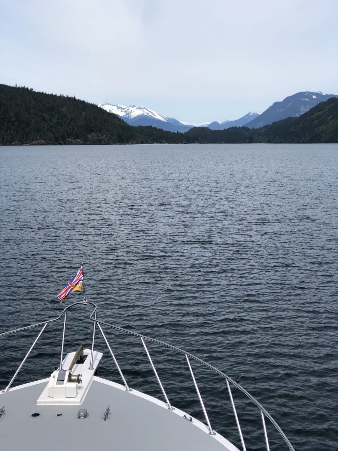 Shoreline Tours Lake Cruise 