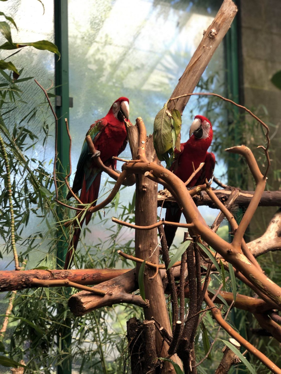 Victoria Butterfly Gardens