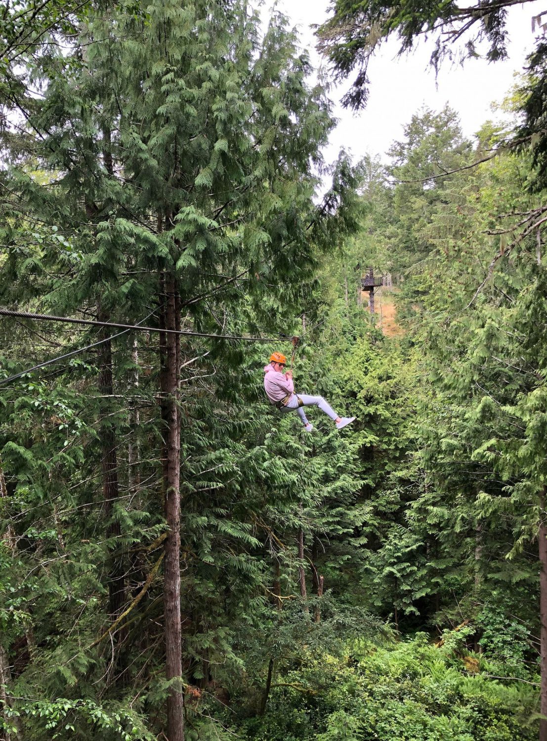 Adrena Zipline