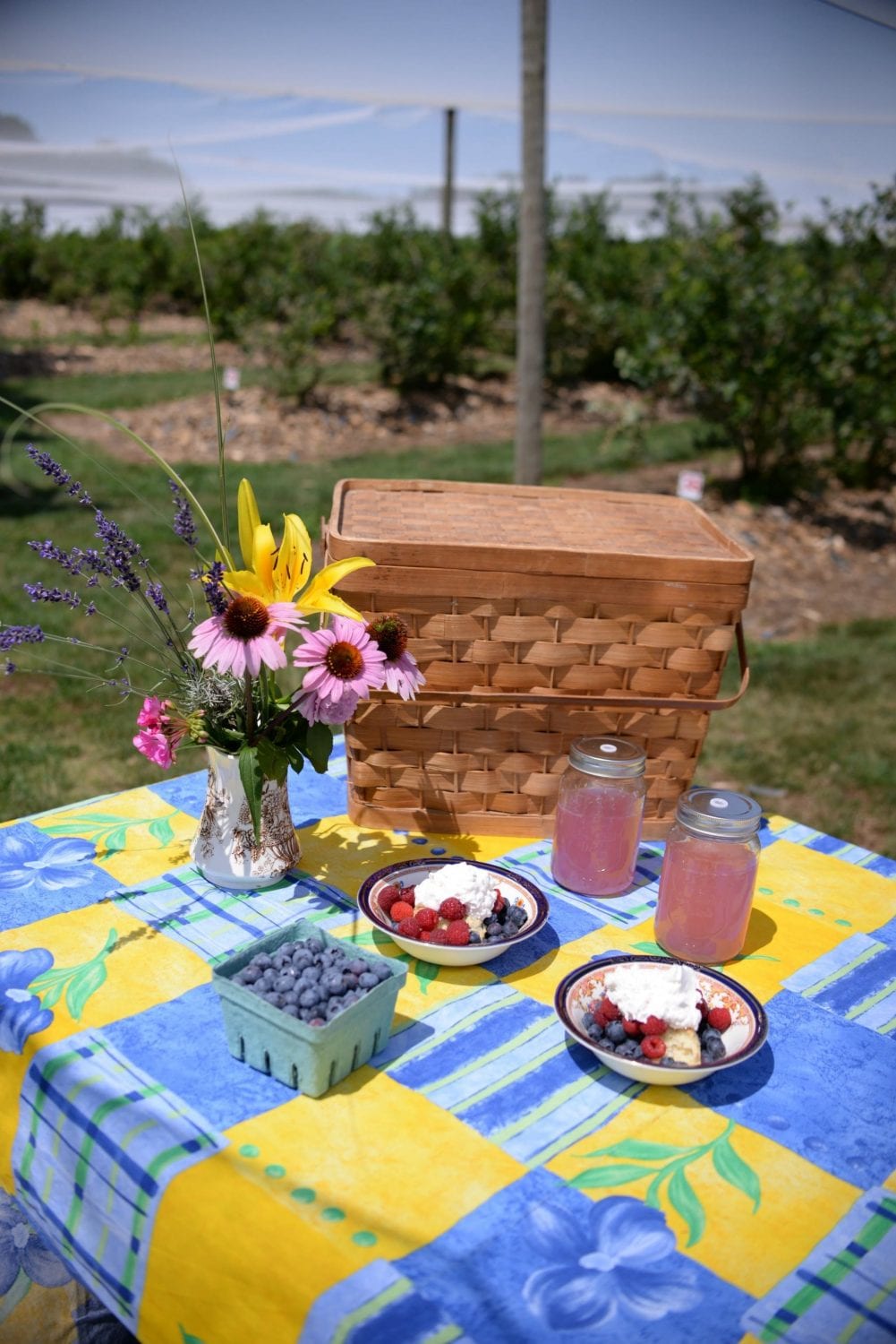 Berrylicious Fruit Farm