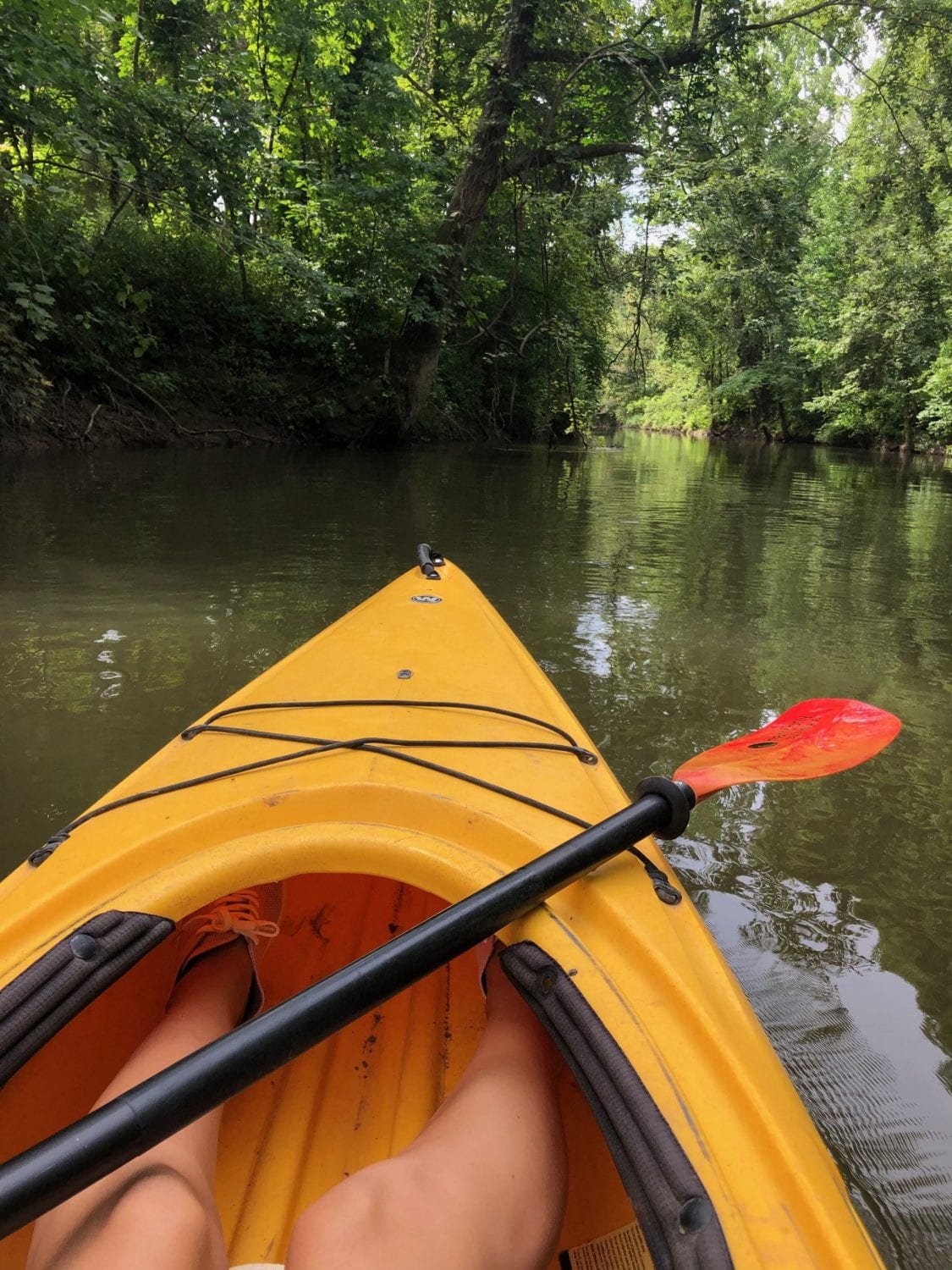 Long Point Eco Adventures