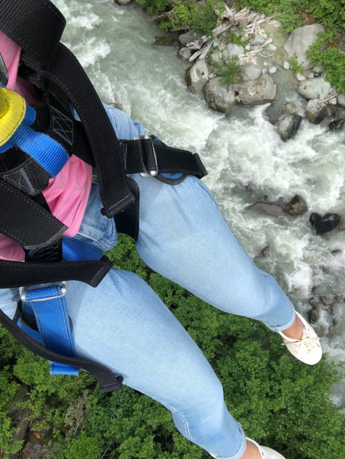 Ziptrek Ecotours