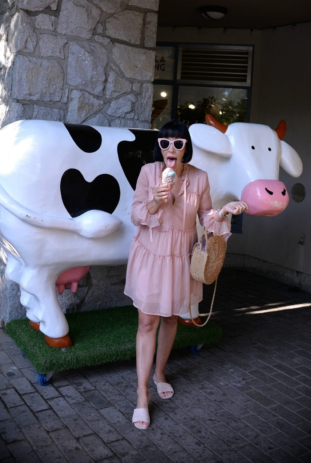 Crazy Cow Ice Cream