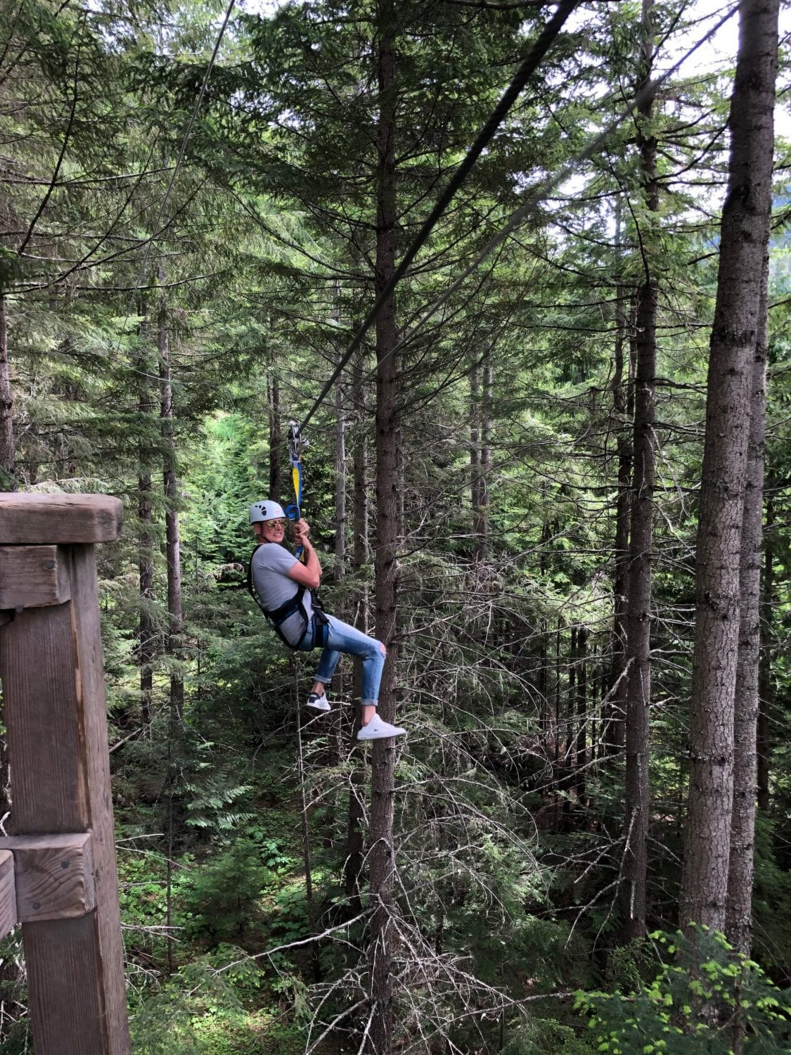 Ziptrek Ecotours