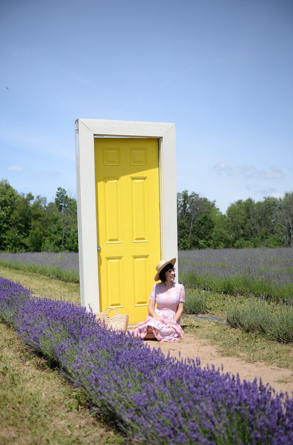 Why You Need To Visit A Lavender Field This Summer