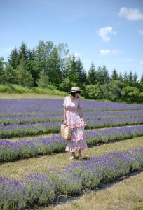 Why You Need To Visit A Lavender Field This Summer