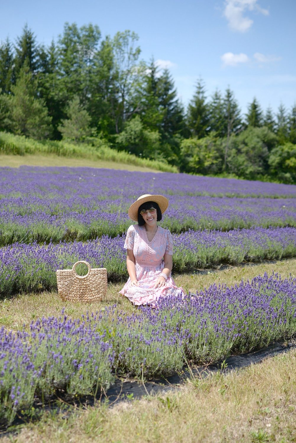 Why You Need To Visit A Lavender Field This Summer