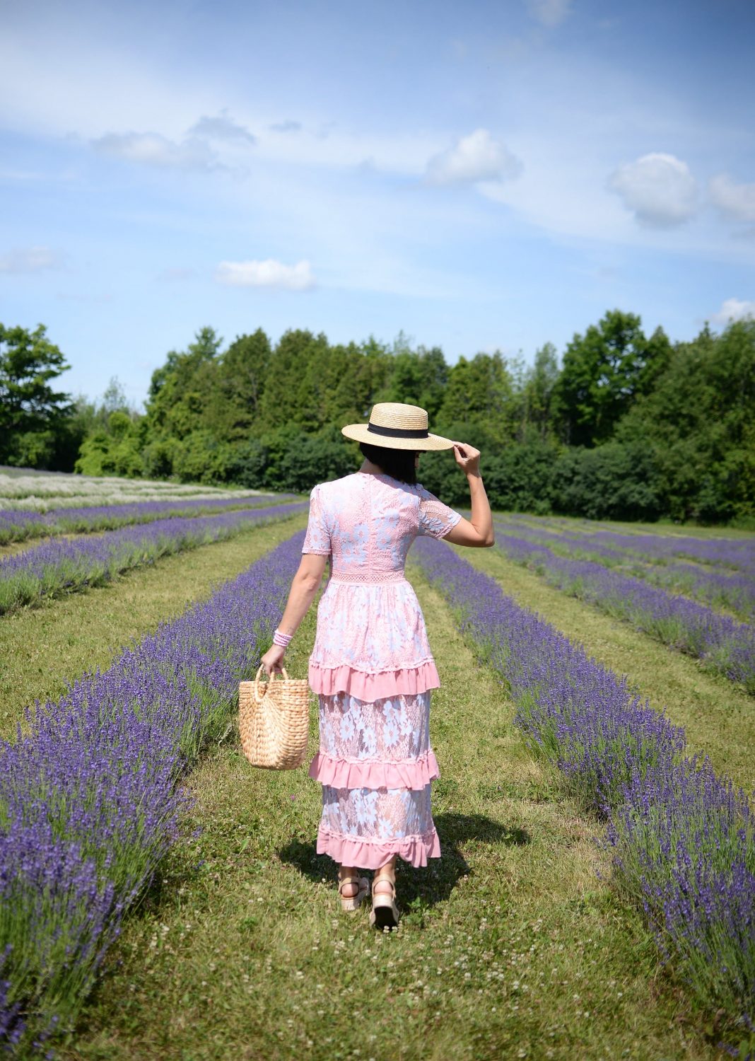 Why You Need To Visit A Lavender Field This Summer