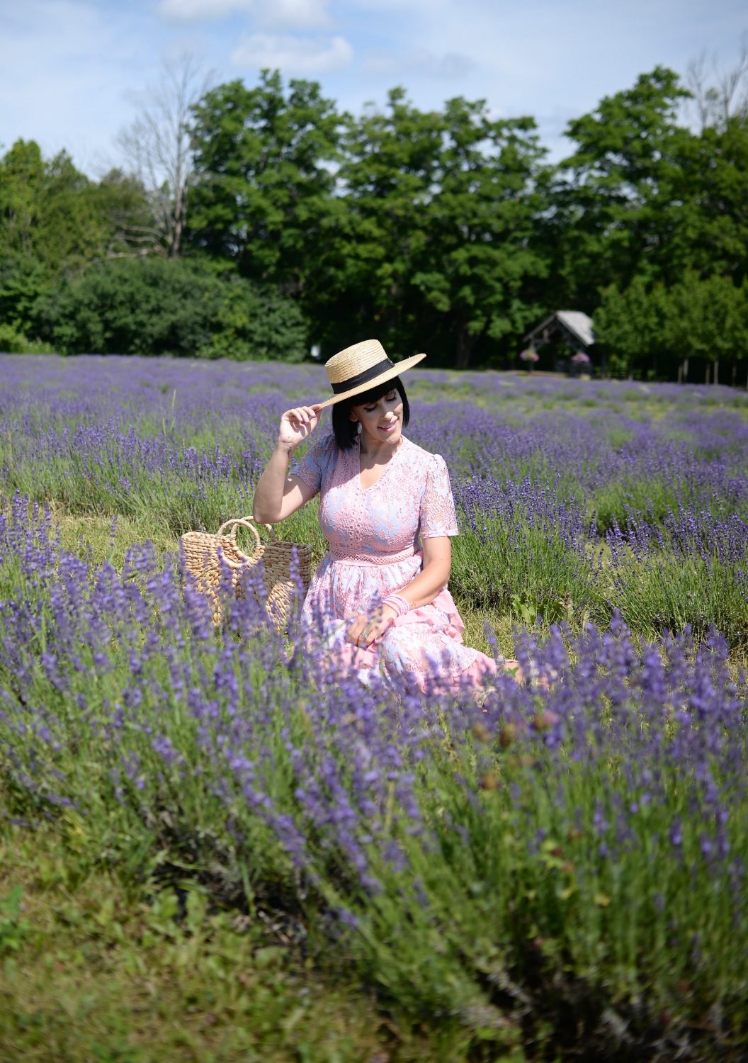 Why You Need To Visit A Lavender Field This Summer