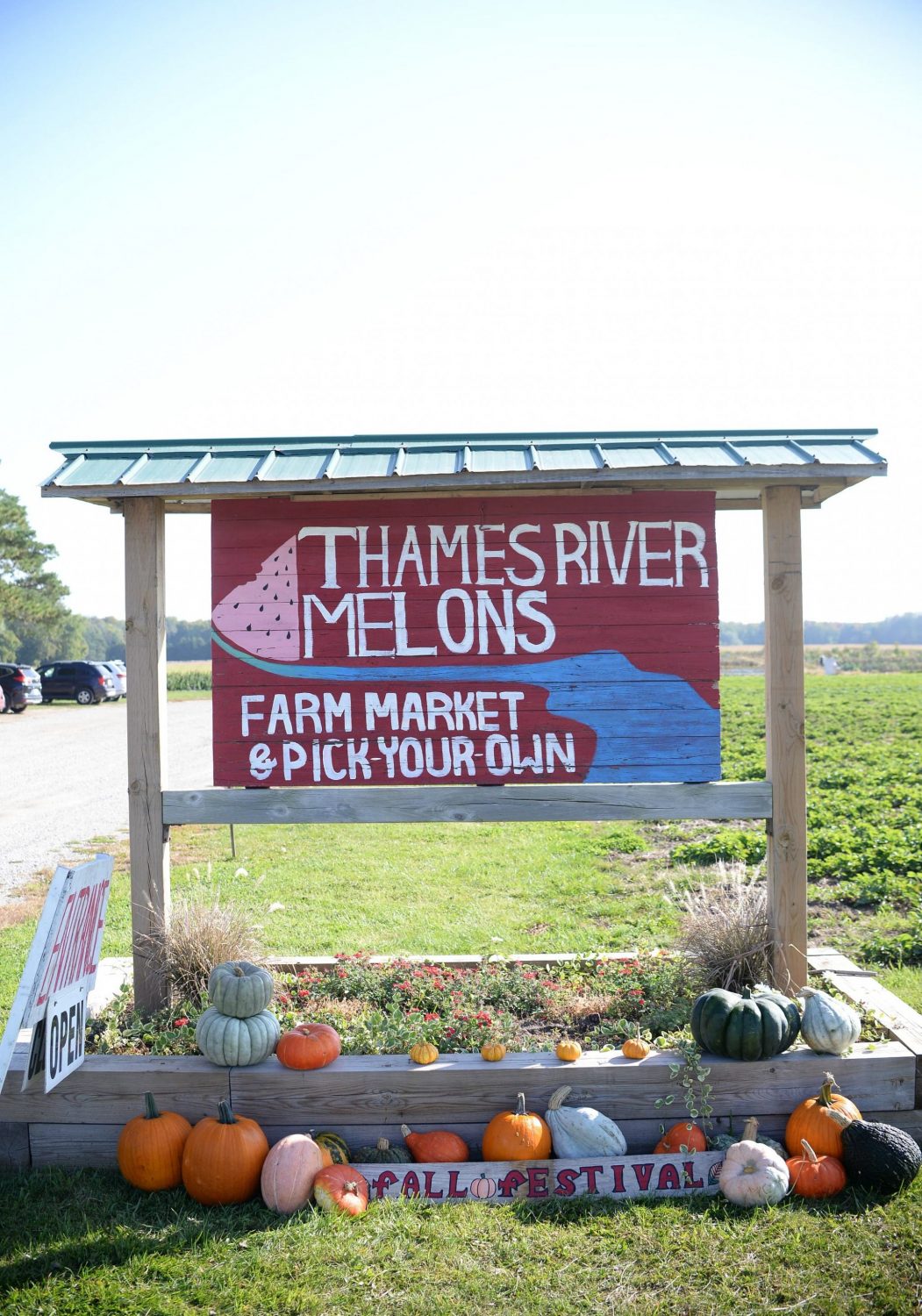 Thames River Melons