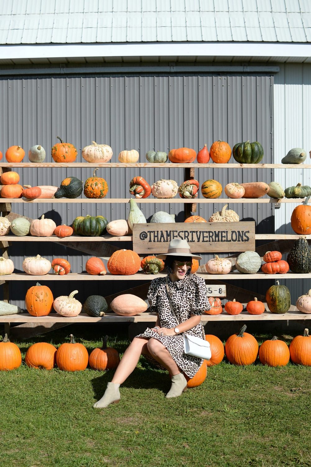 Thames River Melons