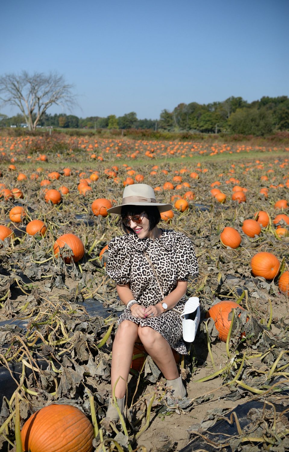 Thames River Melons